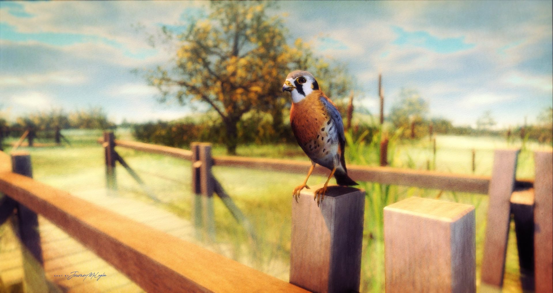 What Is the Point Fly in Fly Fishing? Trickyfish