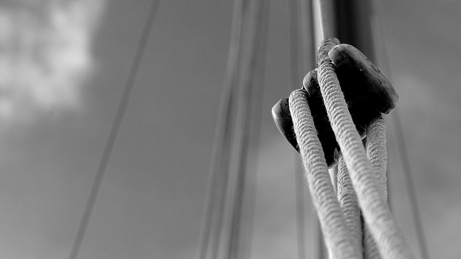 How Does the Pulley System Work in a Fishing Rod? Trickyfish