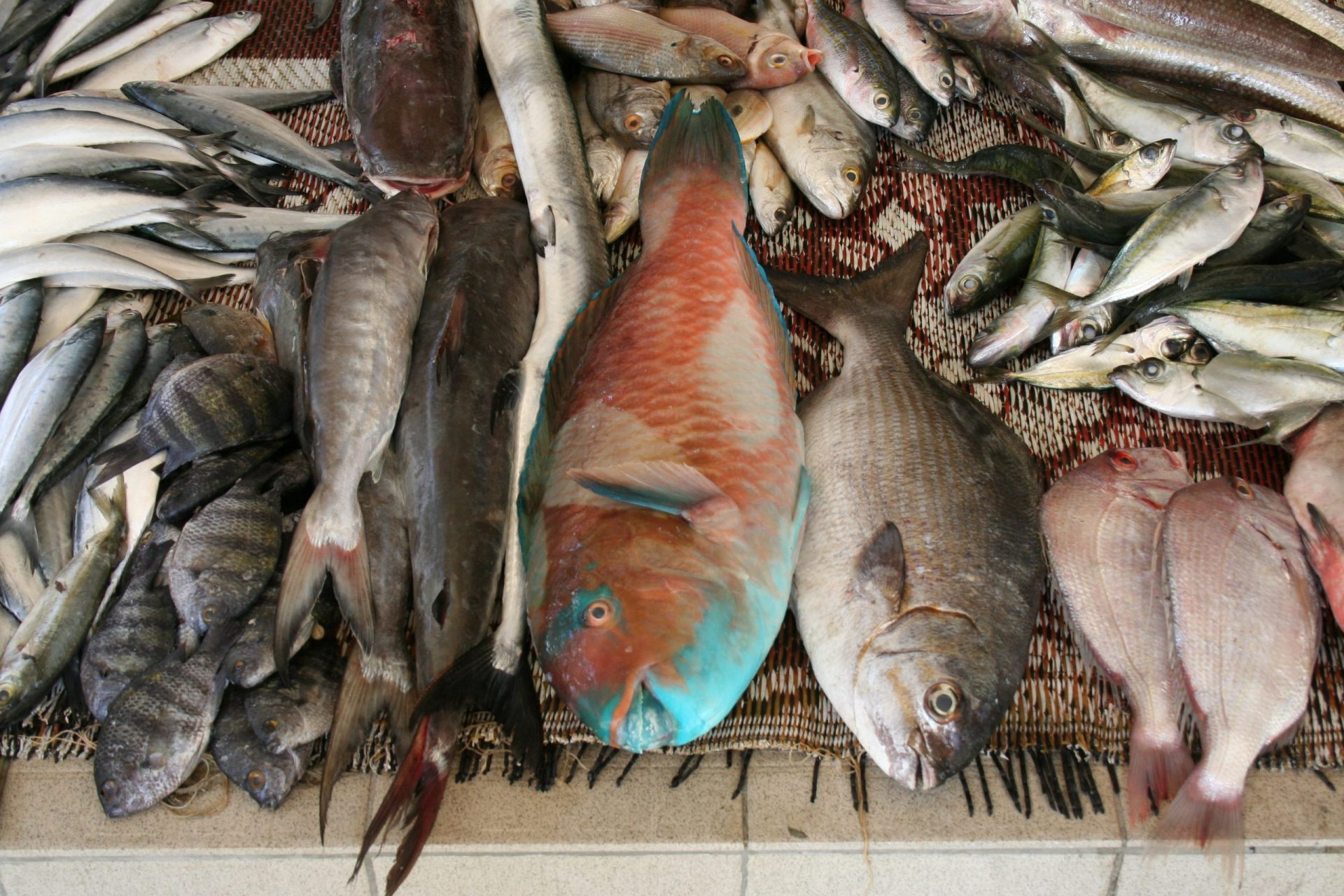 How Much Weight Do I Need Spearfishing? Trickyfish