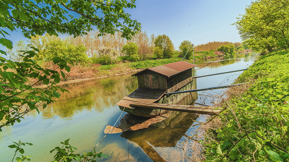 How Do You Get the Next Fishing Rod in Toontown? Trickyfish