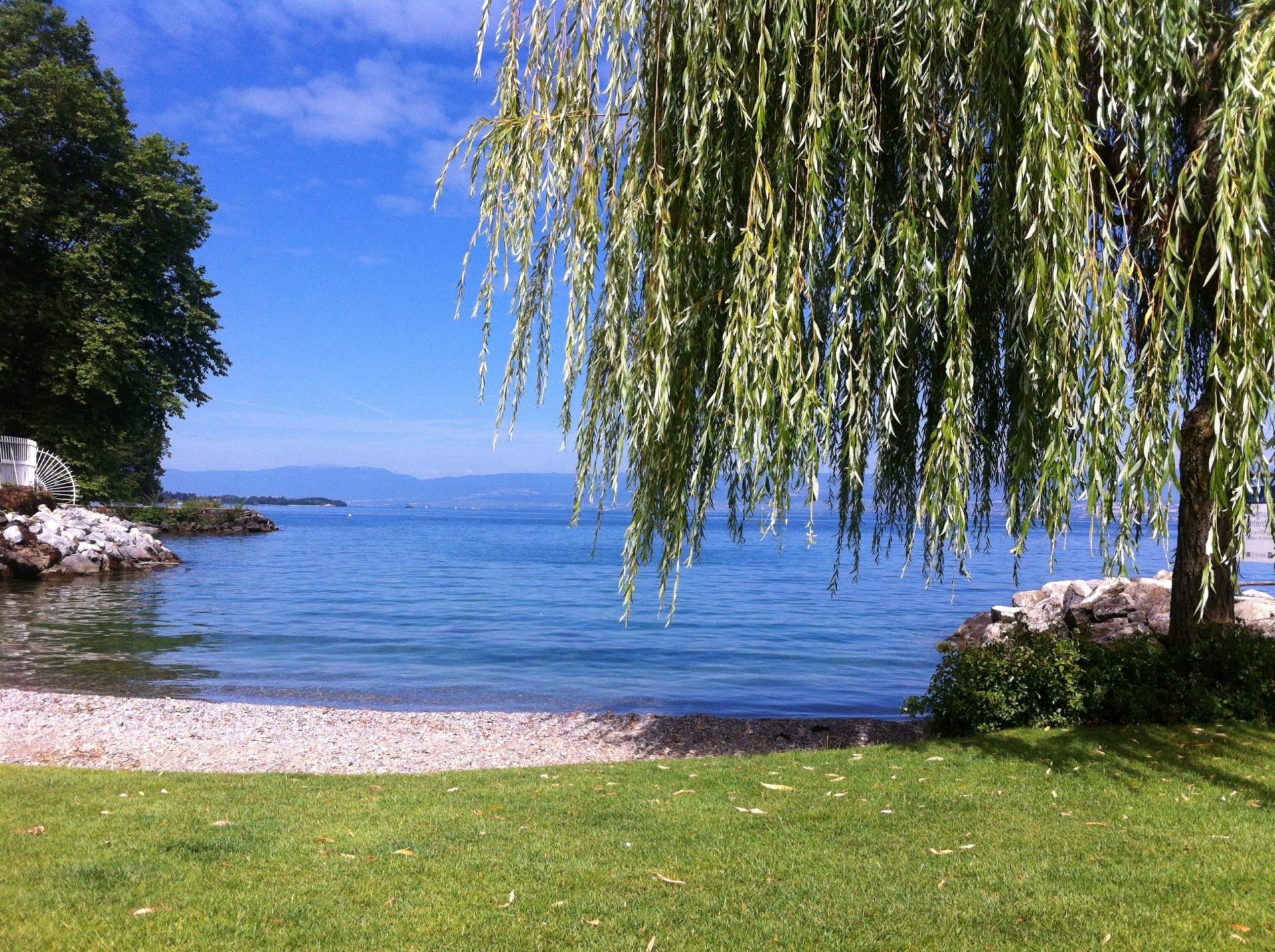 How Is the Fishing in Willow Lake Oregon? Trickyfish