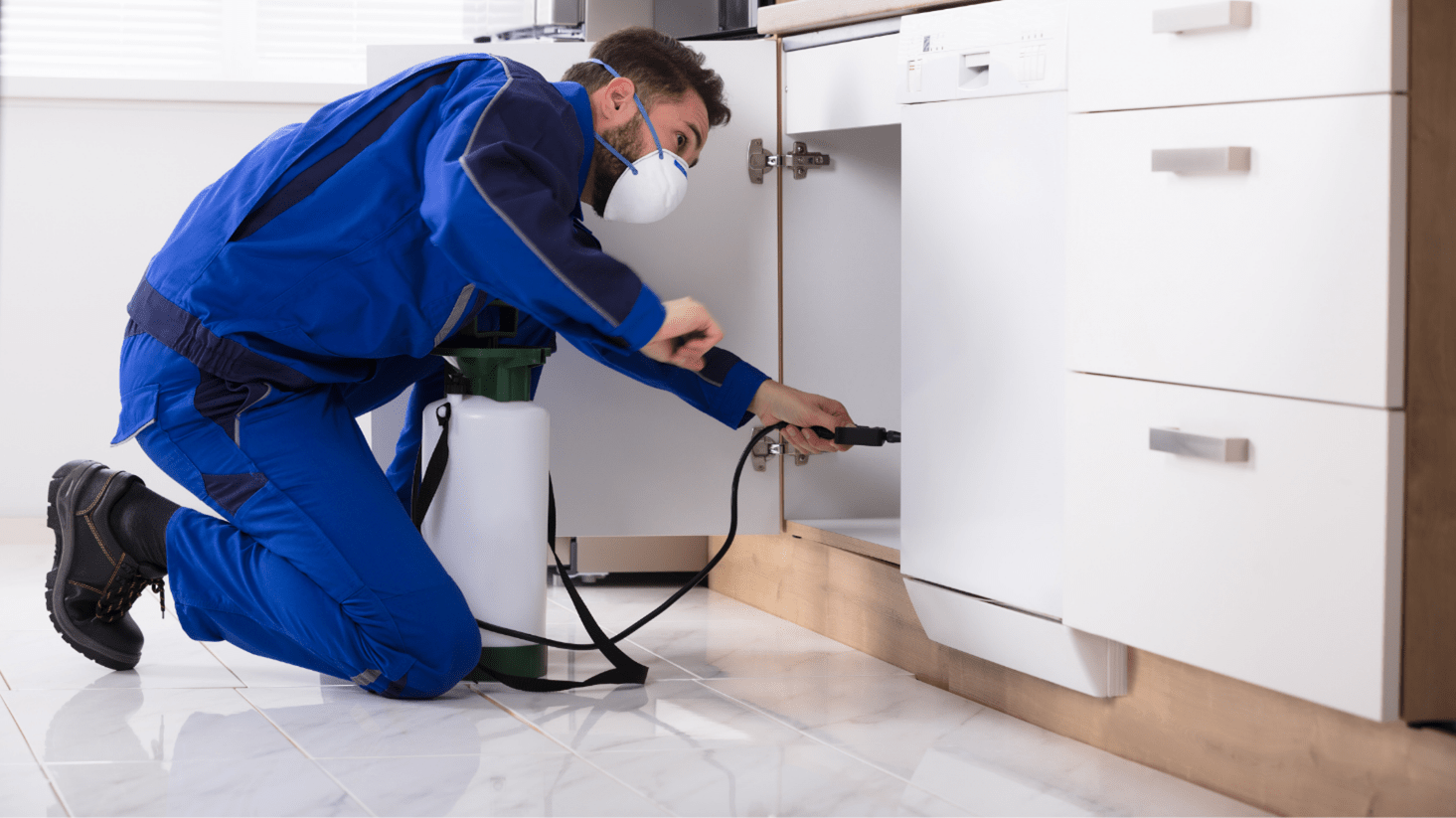 Common Home Infestations That Require Miami County Pest Control Tri