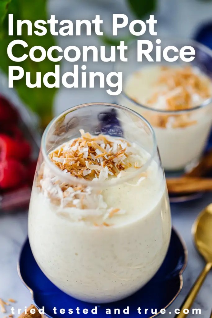 Instant Pot Coconut Rice Pudding DAIRY FREE RICE PUDDING