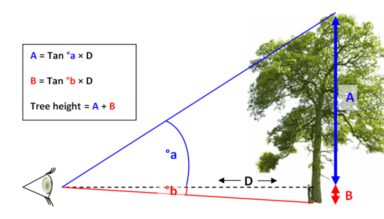 How To Find Height In Trigonometry - Height of Triangle