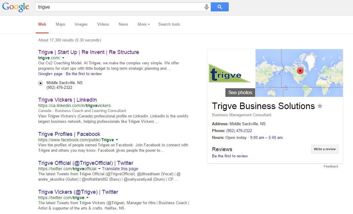 Why Google Business Pages? Trigve