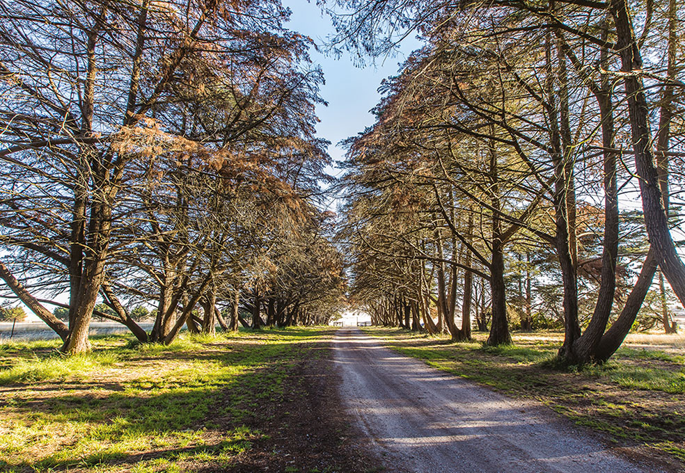 Trijena Land For Sale 555 Donnybrook Road, Mickleham