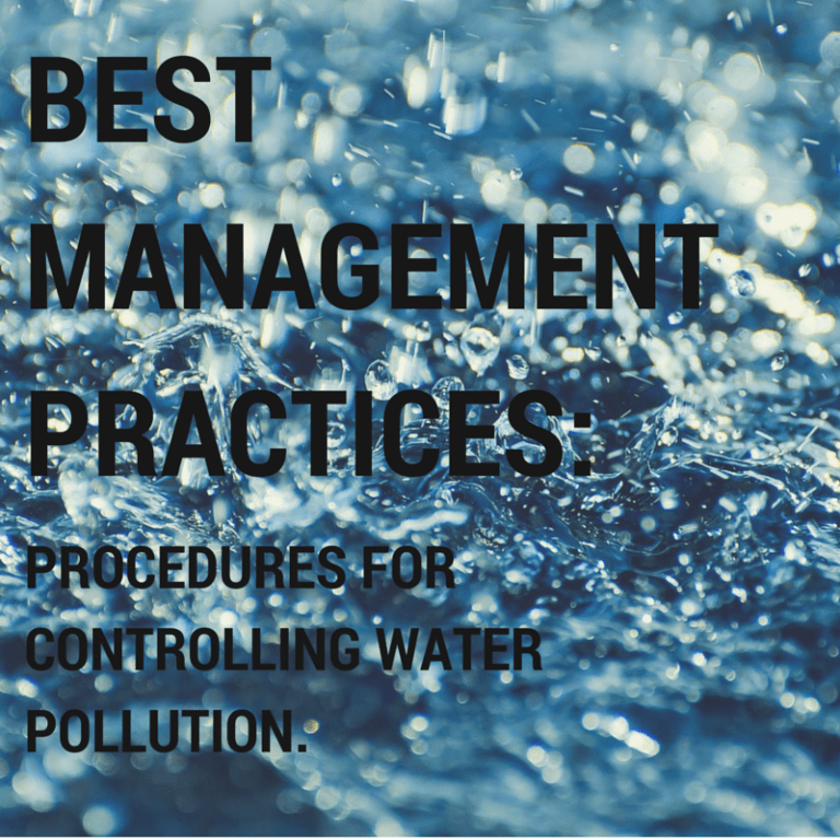 5 Examples of Stormwater Best Management Practices (BMPs) TriMedia