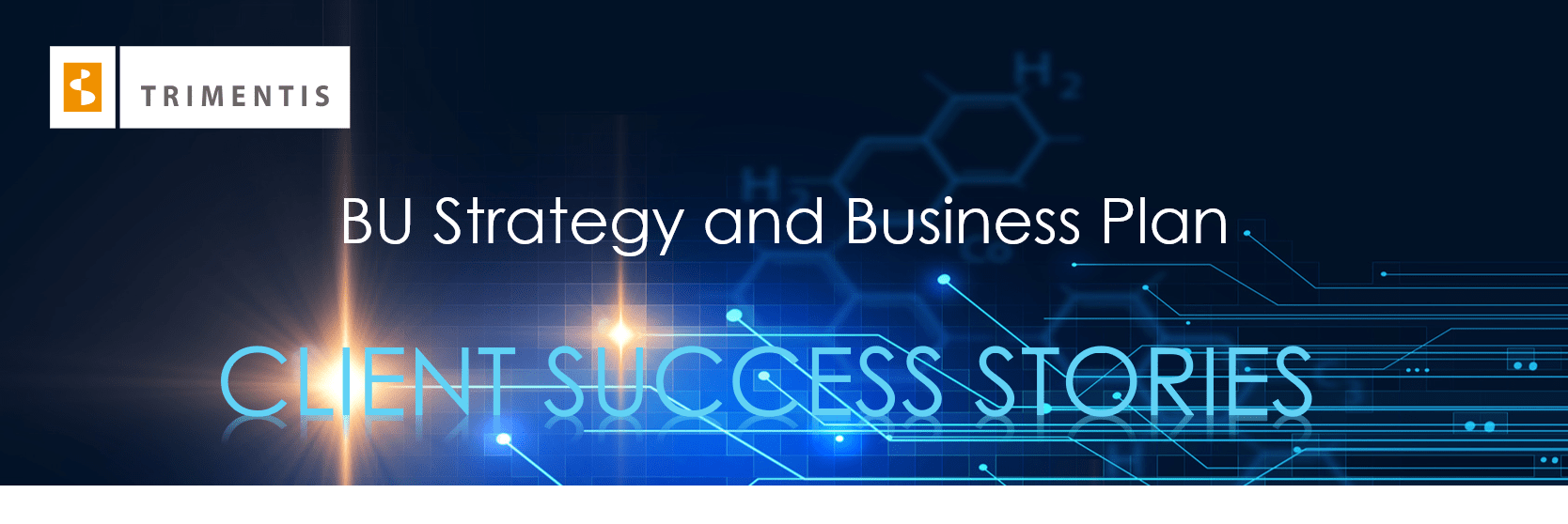 BU Strategy and Business Plan Trimentis