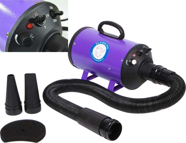 Safe & Effective Best Dog Blow Dryers