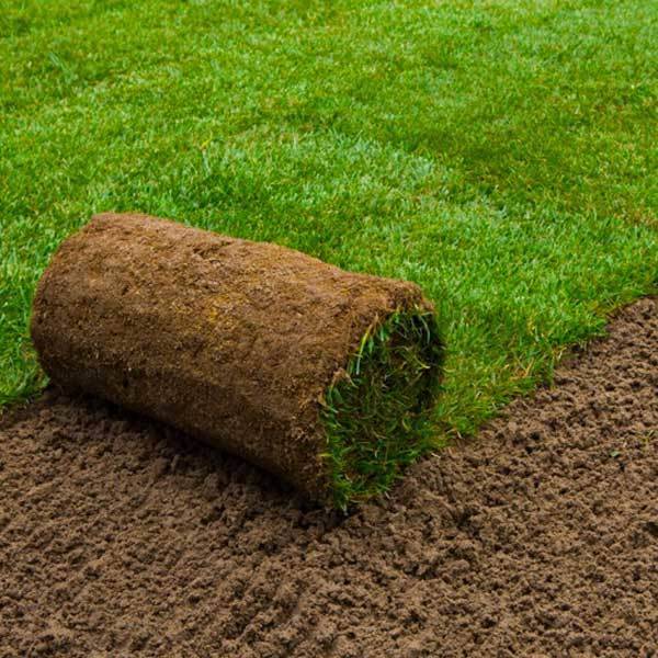 Laying Turf For Green Landscape Around Your Home