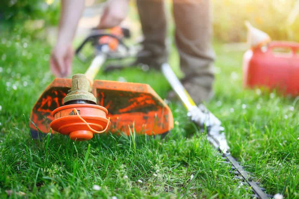 Machines to Cut Grass The Best Options for You Trim That Weed