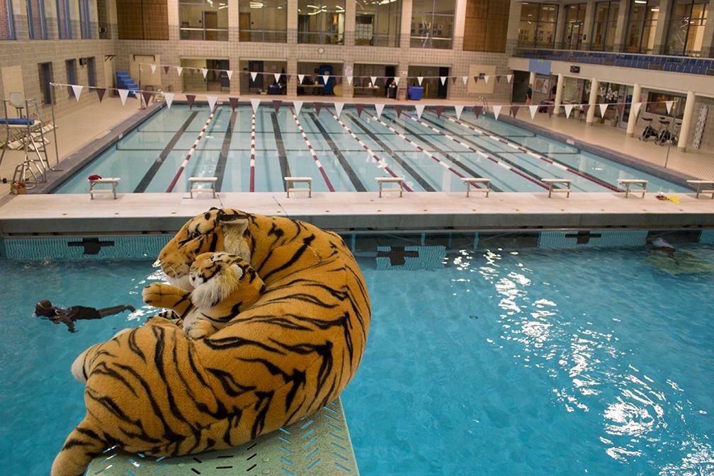 Trinity athletes share about pregame rituals Trinitonian