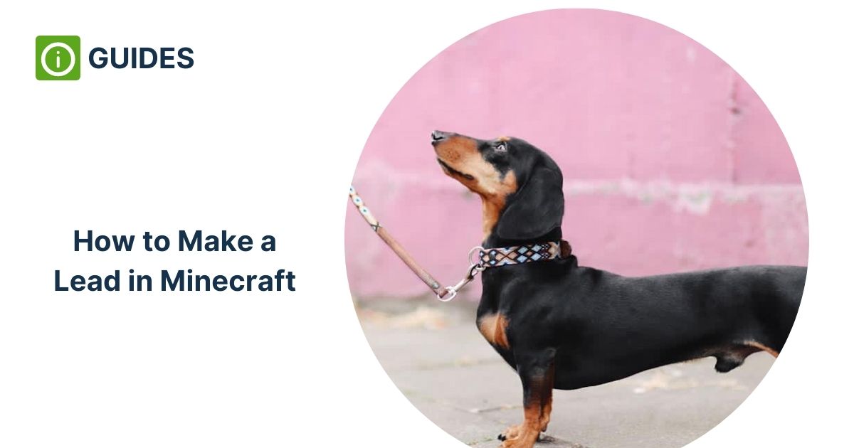 How to Make a Lead in Minecraft and on What You Can Use It