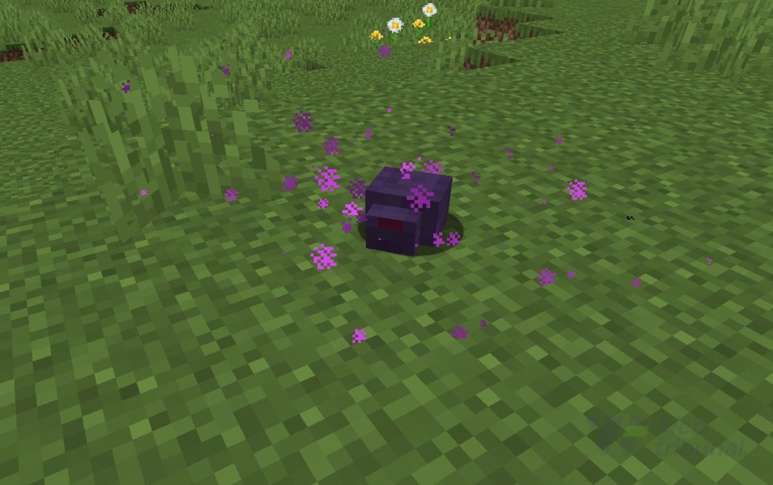 How to Get Ender Pearls in Minecraft and What to Do with Them