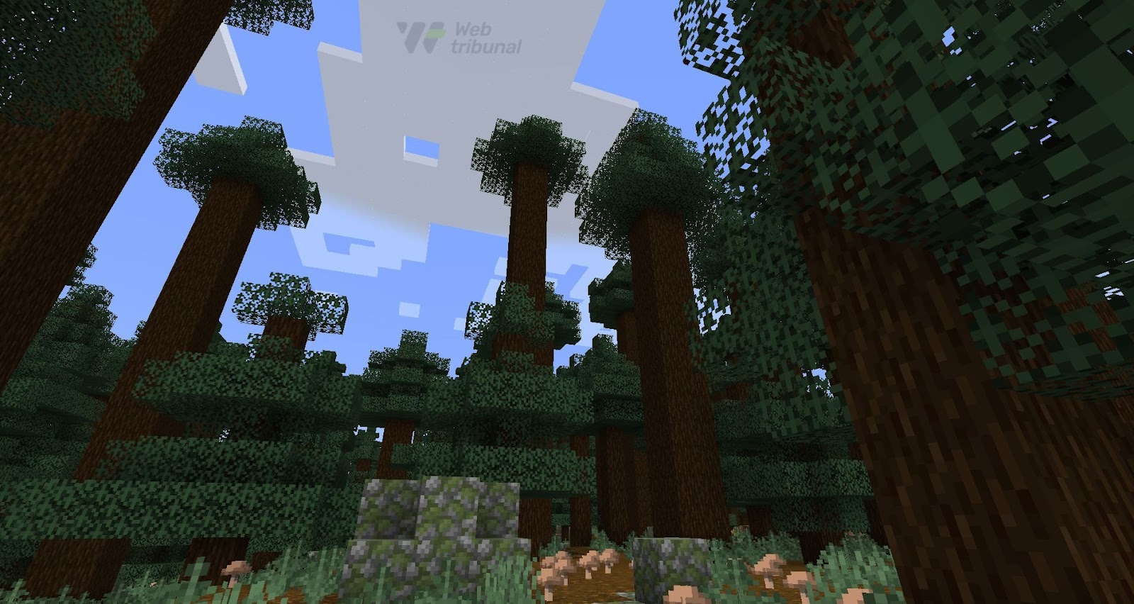 What Is the Rarest Biome in Minecraft?