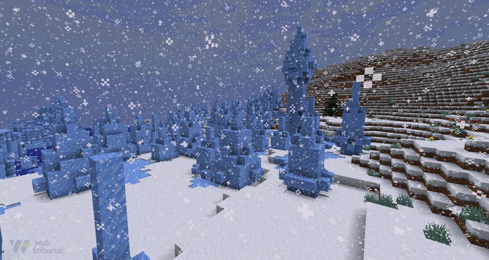 What Is the Rarest Biome in Minecraft?