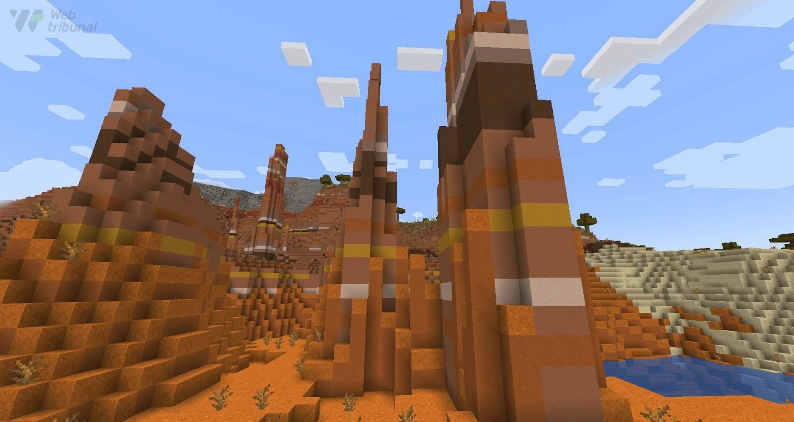 What Is the Rarest Biome in Minecraft?