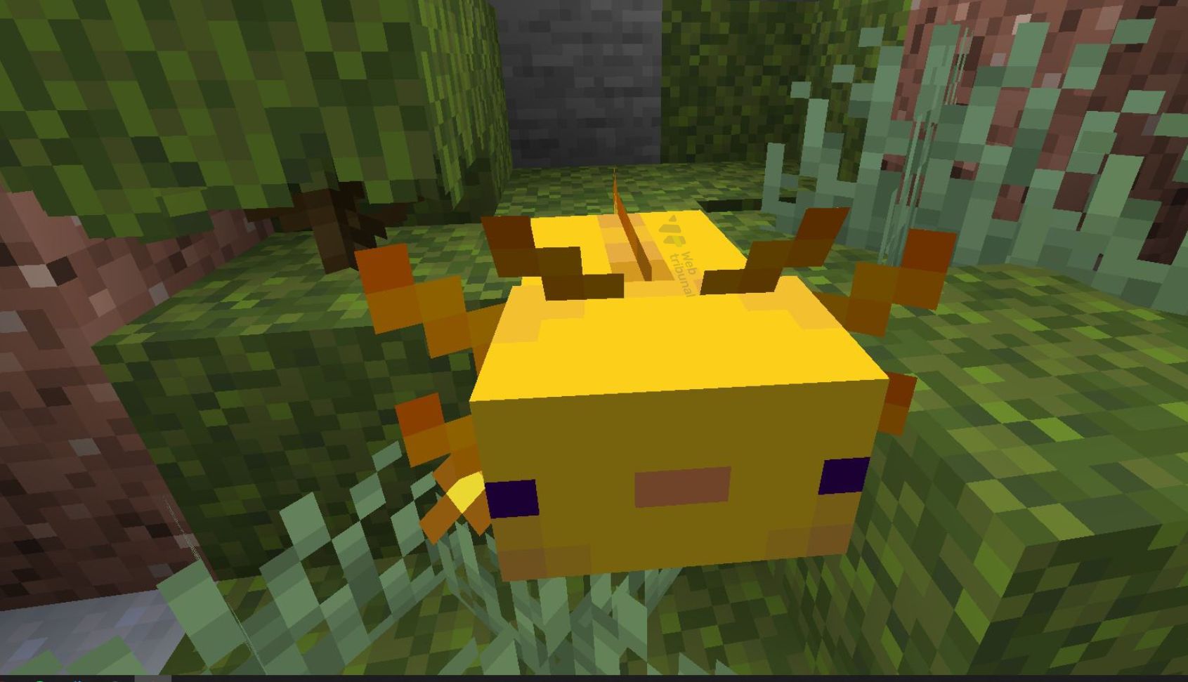 What Is the Rarest Axolotl in Minecraft and How to Tame It