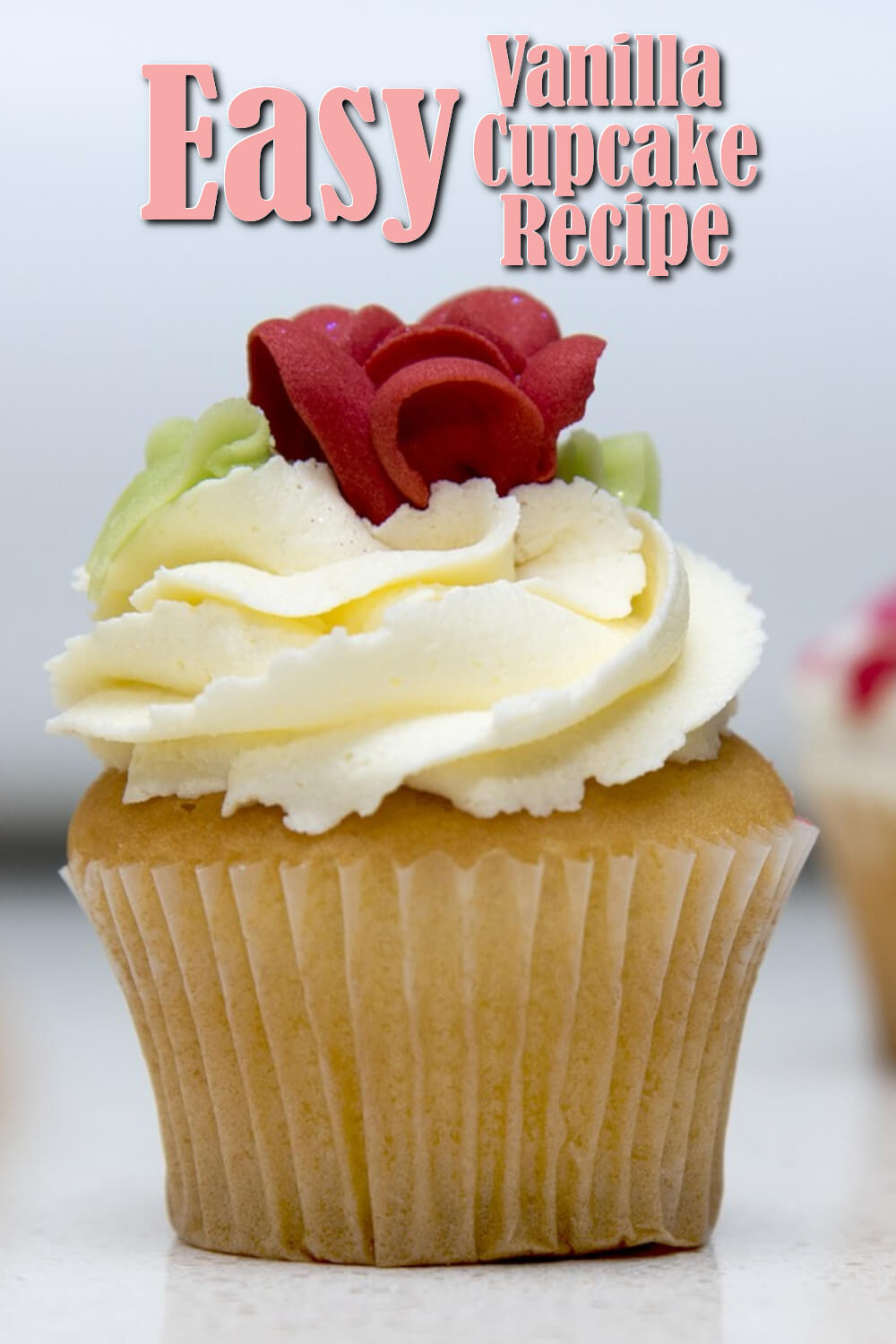 Easy Vanilla Cupcake Recipe Moist And Spongy Trinity Creative Tutorials