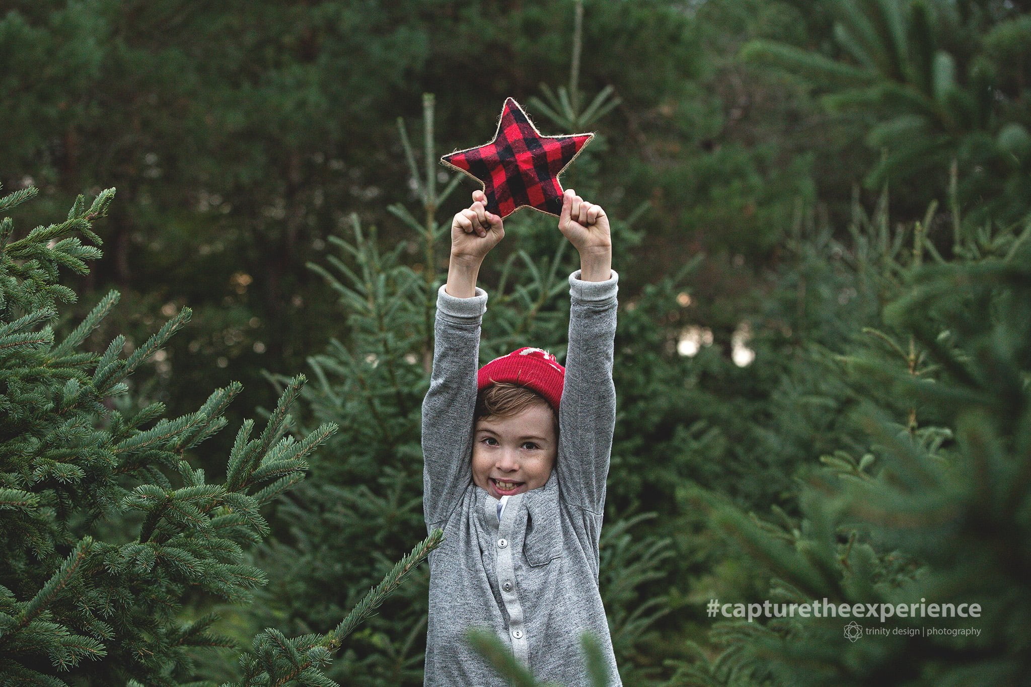 The Christmas Tree Farm Experience Durham Region Trinity Design