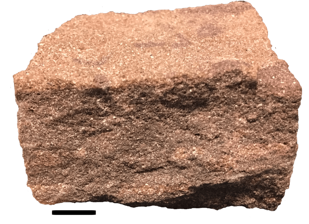 Sedimentary Rocks Geological Museum Trinity College Dublin