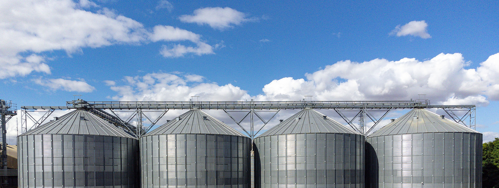 Contact Us Trinity Grain