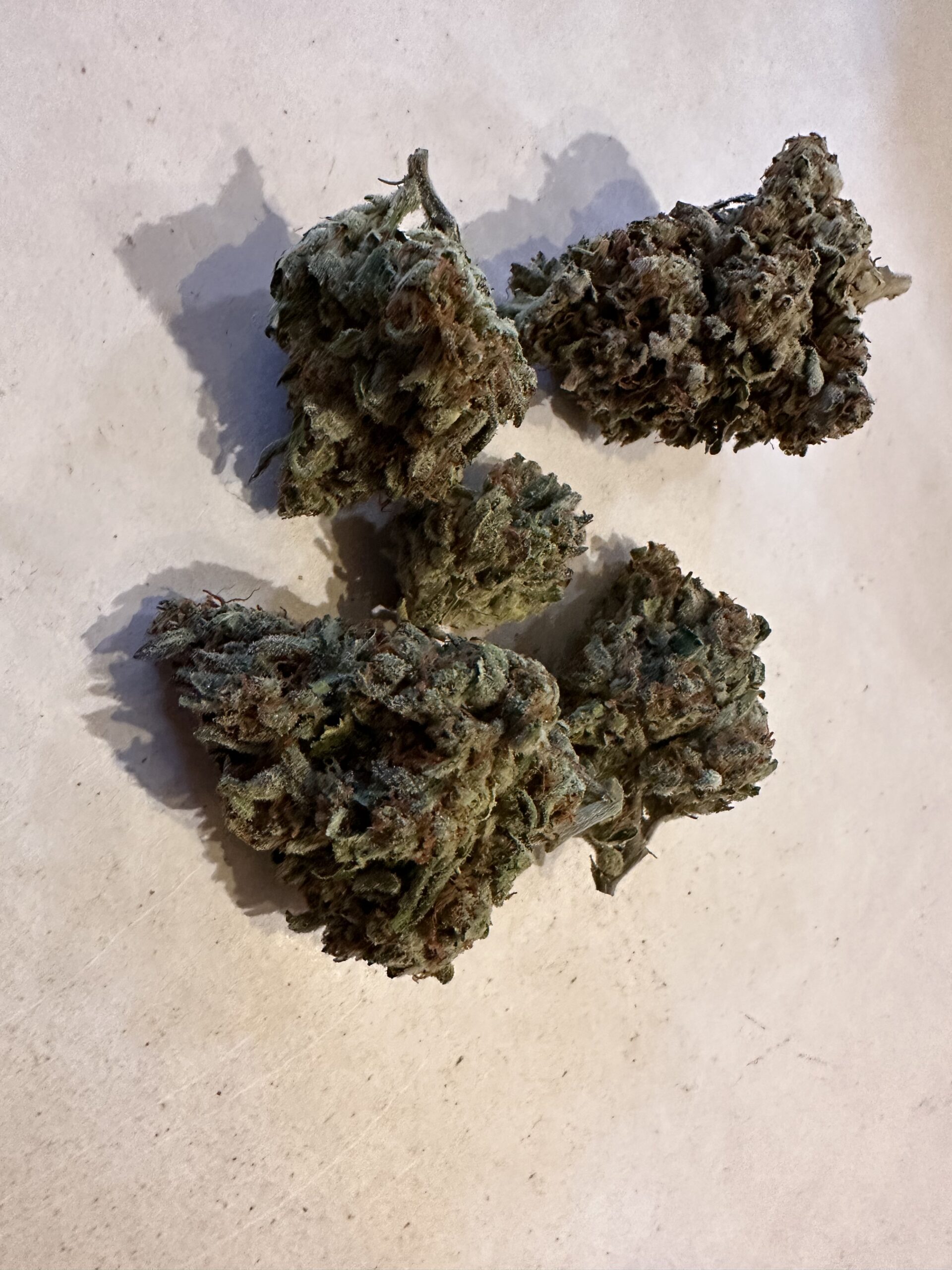 RED VELVET By Patton Farms Trinity Growers Co.