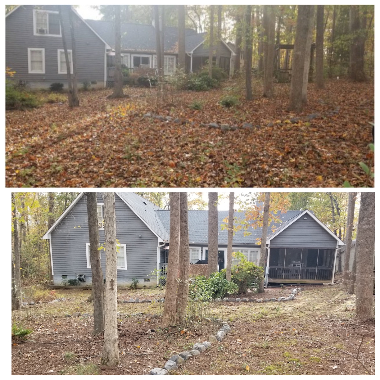 Leaf Removal Trinity Home Improvements