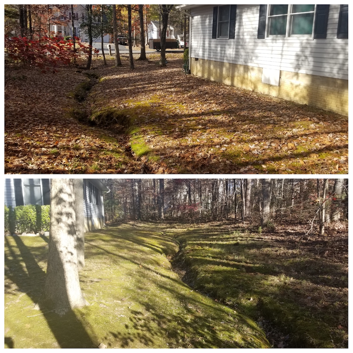 Leaf Removal Trinity Home Improvements
