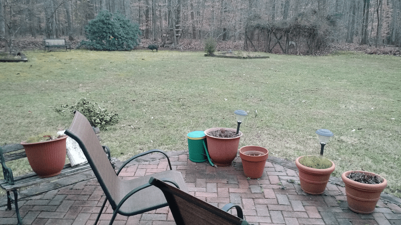 Leaf Removal Trinity Home Improvements