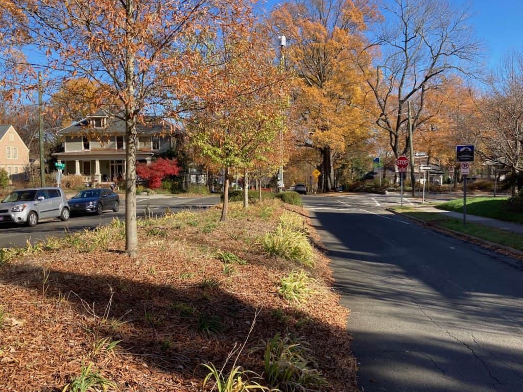 Trinity Avenue Median Trinity Park