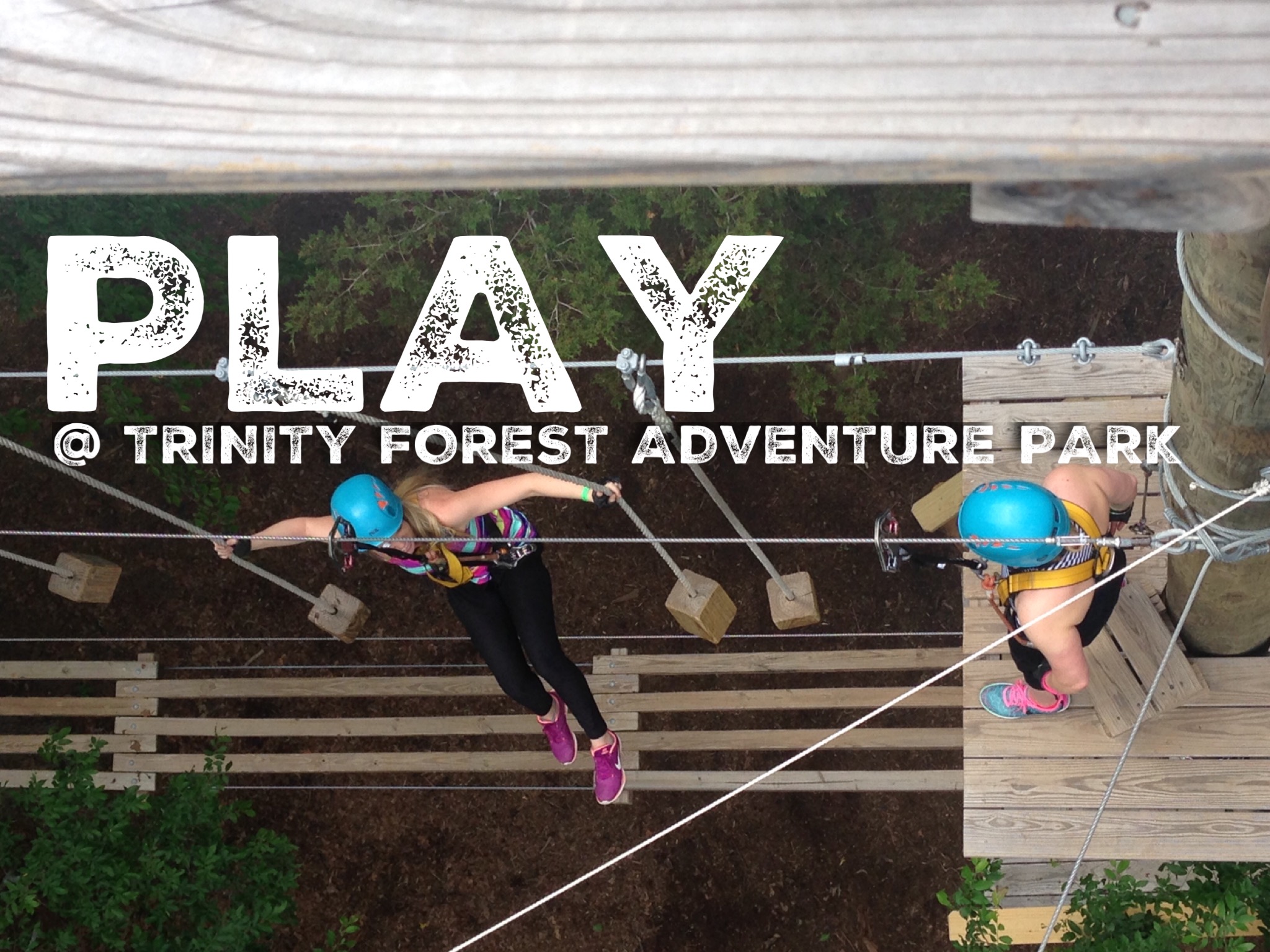 Home Trinity Forest Adventure Park & The Southern Cross