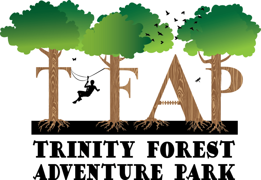 Trinity Forest Adventure Park The Southern Cross