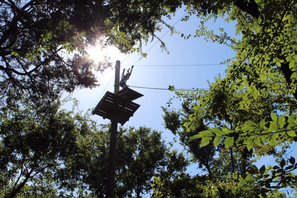 Trinity Forest Adventure Park The Southern Cross