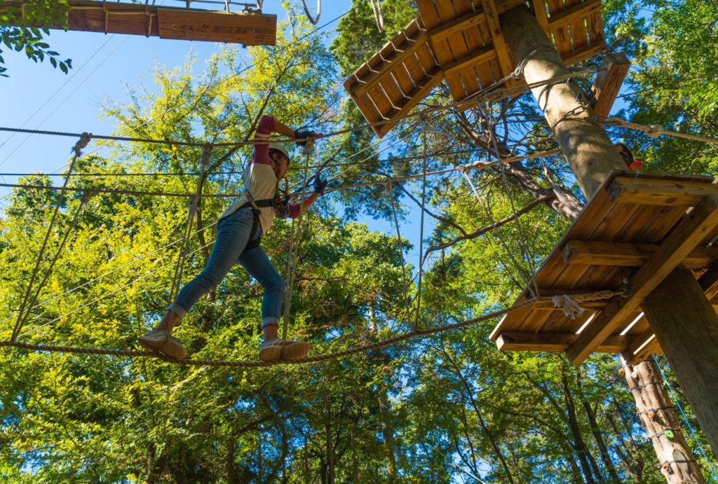 Course 10 Trinity Forest Adventure Park