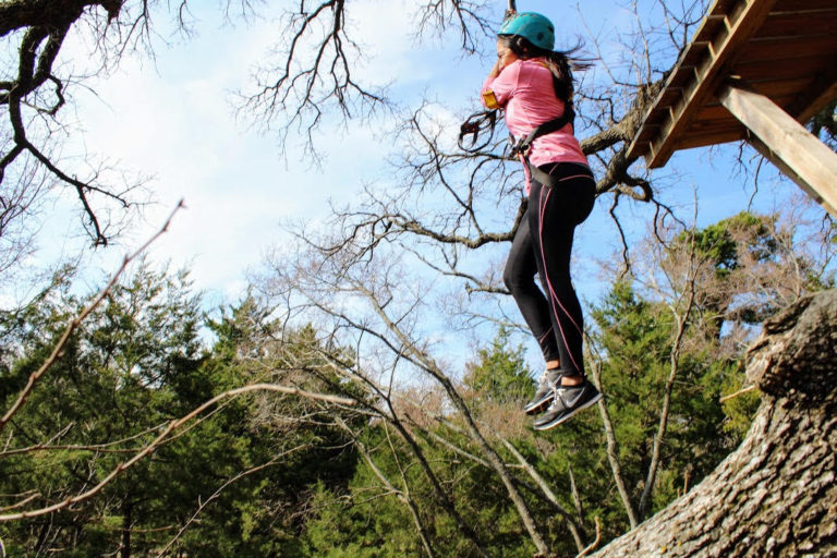 Trinity Forest Adventure Park The Southern Cross