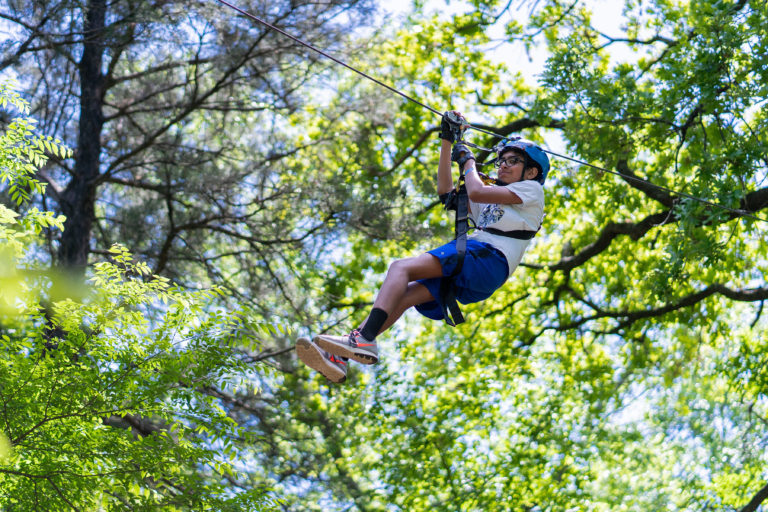 Trinity Forest Adventure Park The Southern Cross