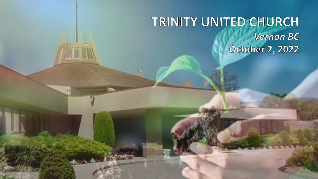 Faith Like A Mustard Seed Trinity United Church