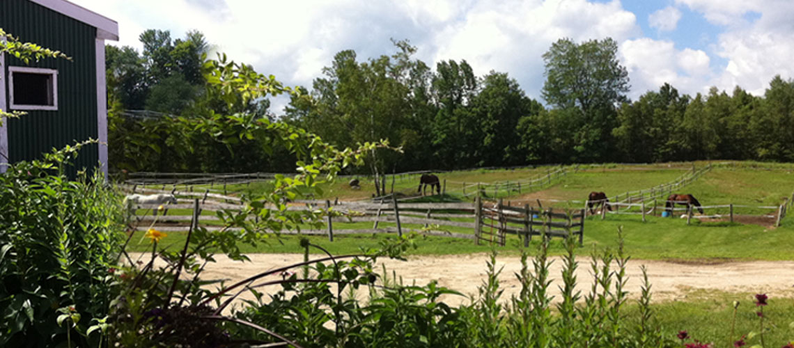 Trio Farm New Gloucester, Maine