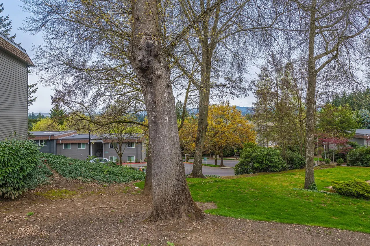 Hudson Tigard Apartments Trion Properties