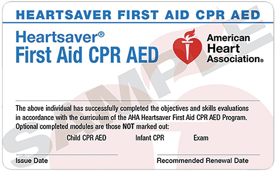 Heartsaver® First Aid CPR AED Trio Safety CPR+AED Solutions