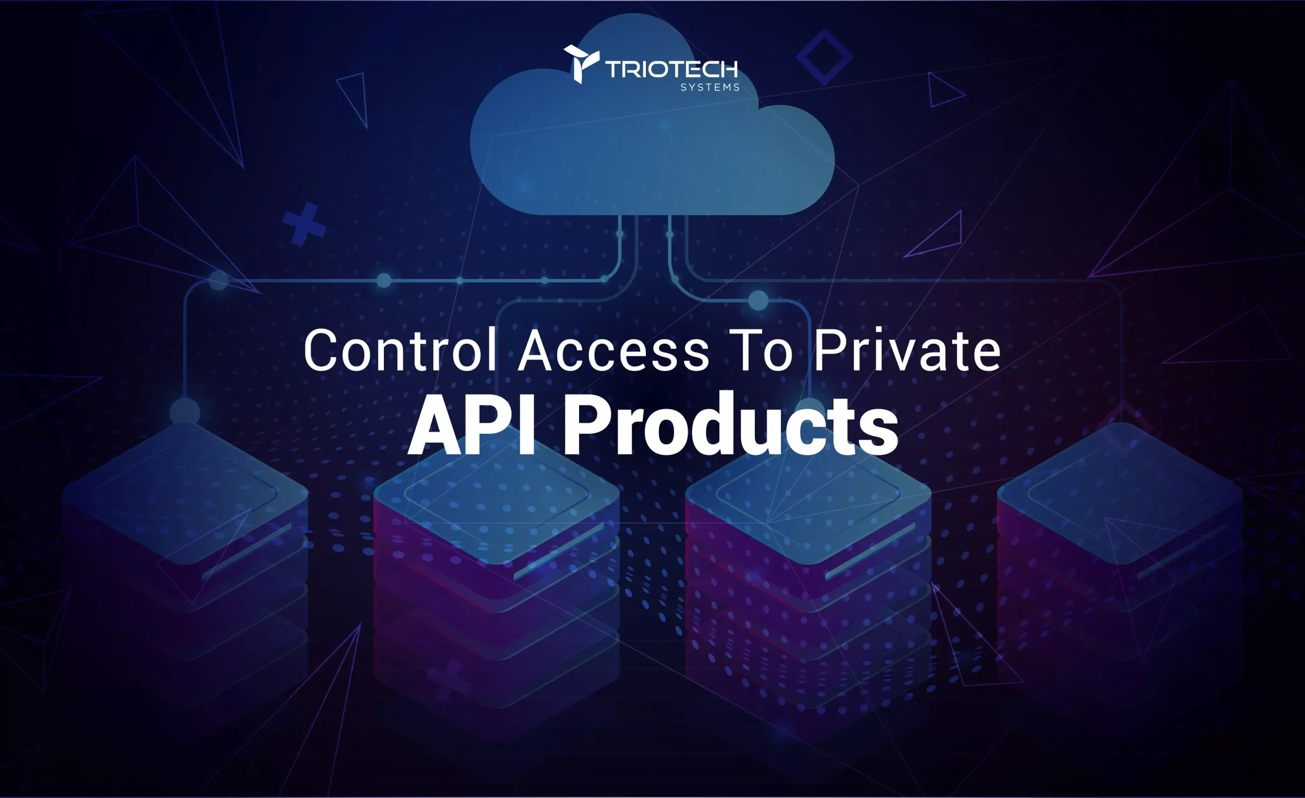 How To Control Access To Private API Products - Triotech Systems