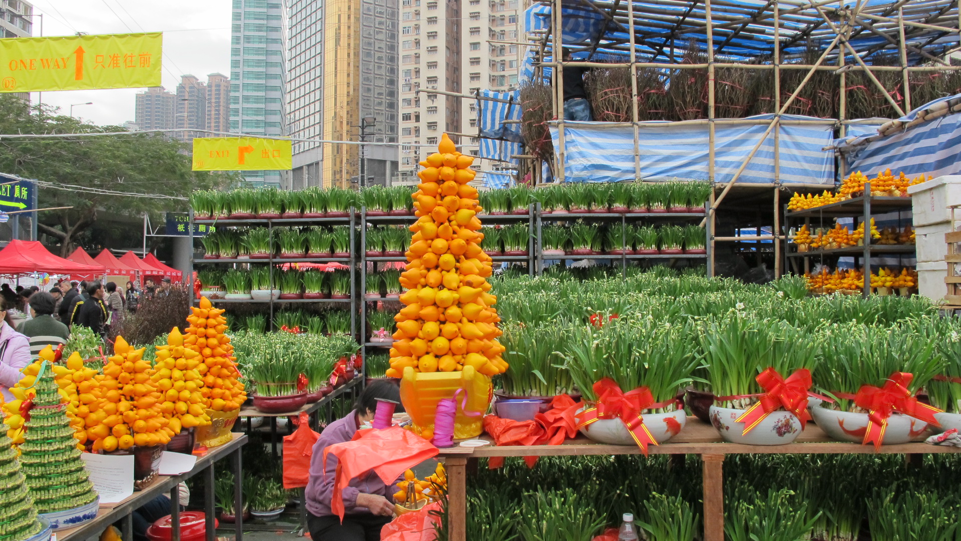 Victoria Park Flower Market triotriotrio