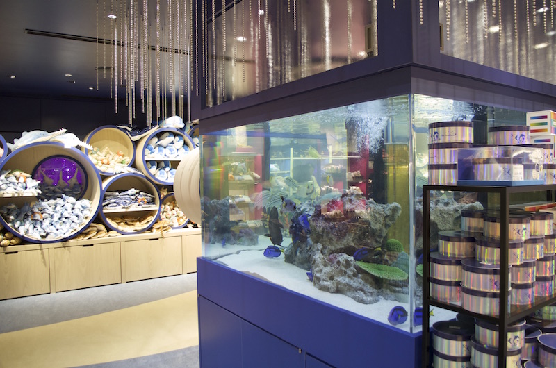 品川の水族館「アクアパーク品川」リニューアルレポート！その全貌をご紹介 TRIP'S（トリップス）