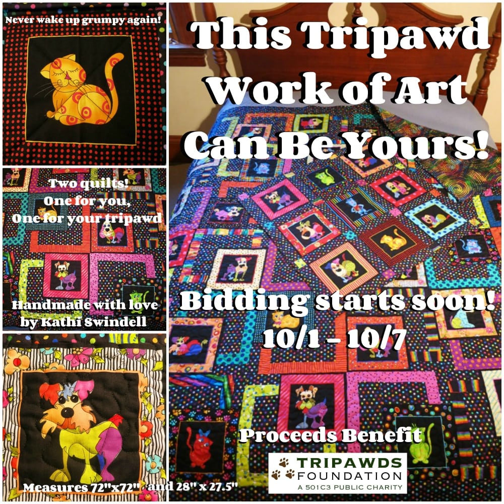 2018 Tripawds Quilt Auction Starts Soon!