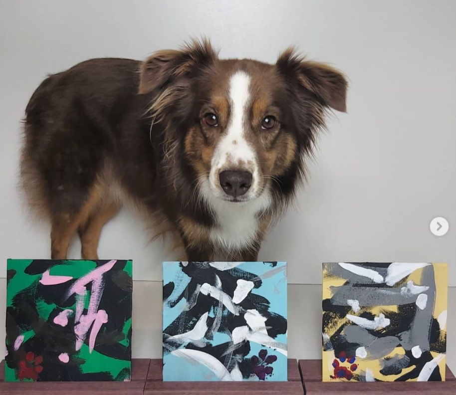 Oh Canada! Tripawds Dog Art Auction Makes the News Tripawds Foundation