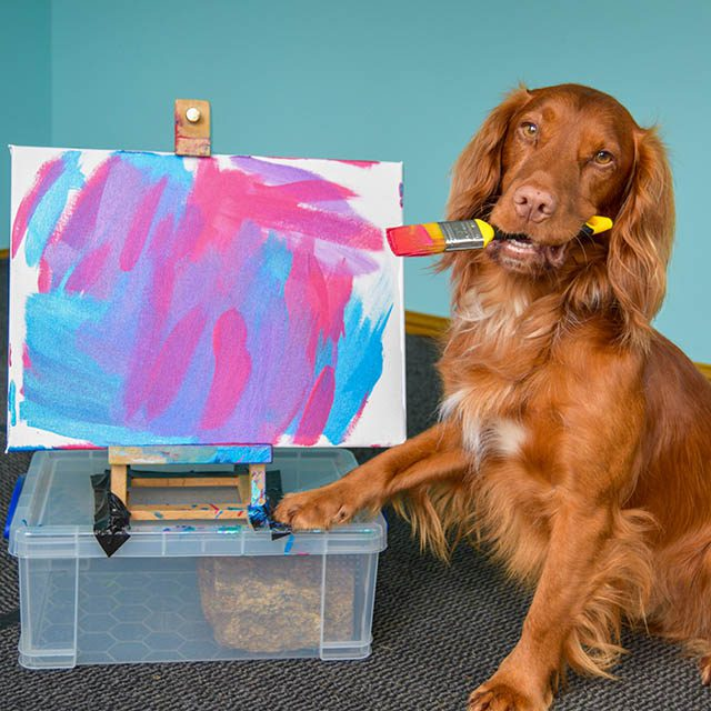 Watch Dog Artists Paint for Tripawds Tripawds Foundation