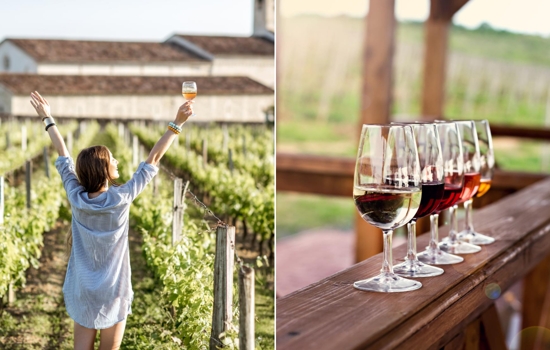 Try the Ultimate Wine Tasting Experience in Spain TripDuck