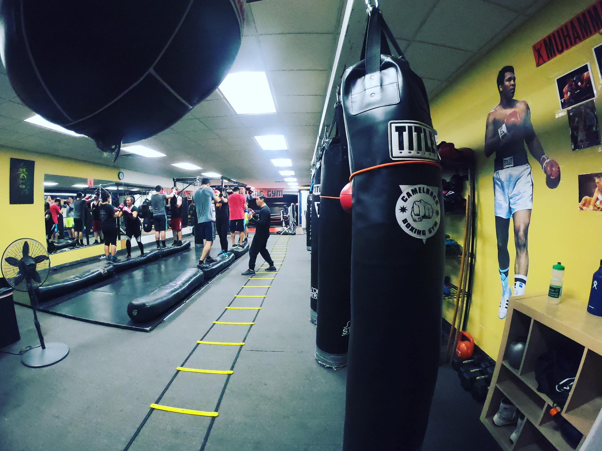 Camelback Boxing Gym Phoenix TripHock