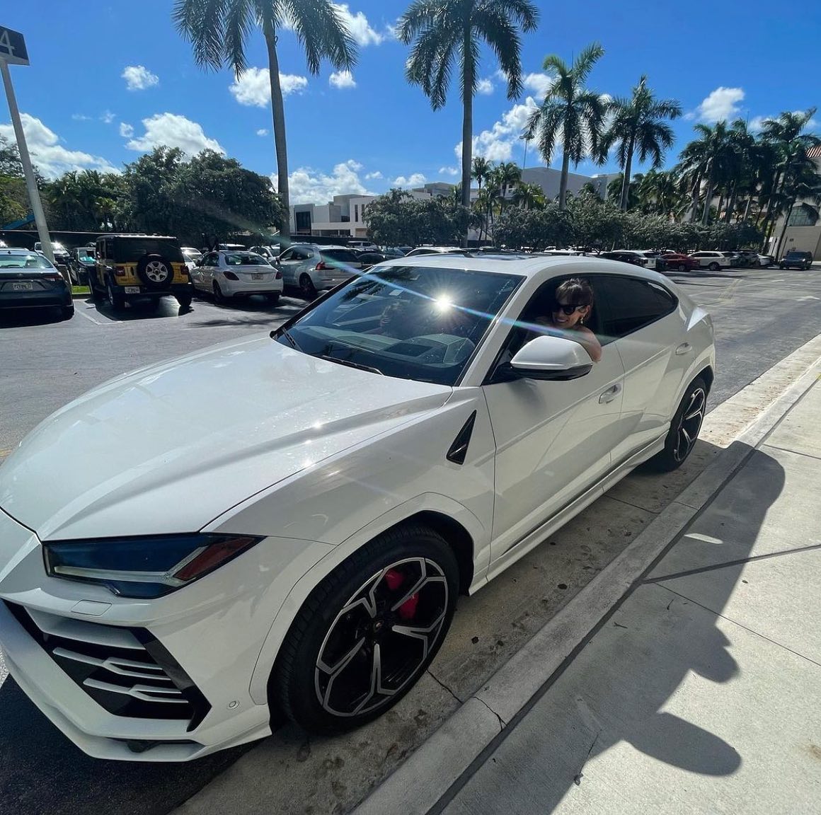 Dynasty Luxury Rentals Miami TripHock